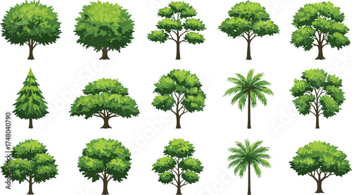 Different types of green trees collection, nature plant landscape design elements, forest environment concept, CAD drawing flat vector illustration