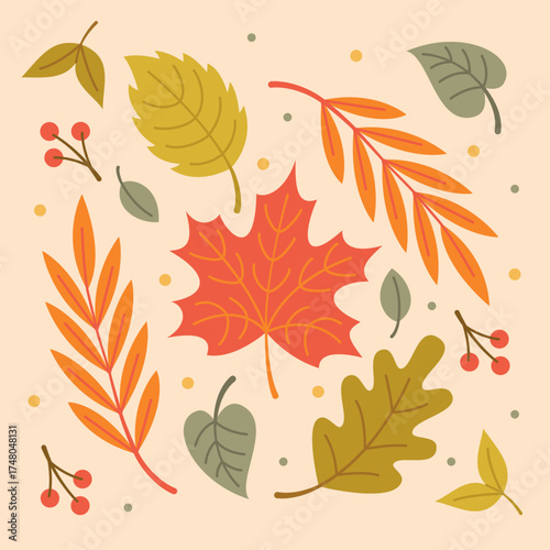 Autumn leaves different colors and sizes flat design vector illustration