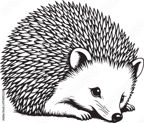 A detailed line illustration of a charming hedgehog, highlighting its distinctive spiky exterior, serene expression, and endearing pose, emphasizing its inherent appeal.