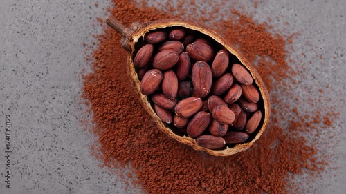 Cocoa beans in pod on powdered surface