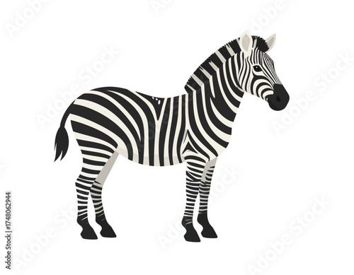 Standing zebra with black and white stripes against a clean white background.