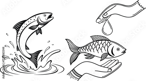 Jumping Fish Splashing Out of Water and Another Fish in Gentle Human Hands  Symbol of Nature Care
