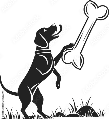 dog and bones