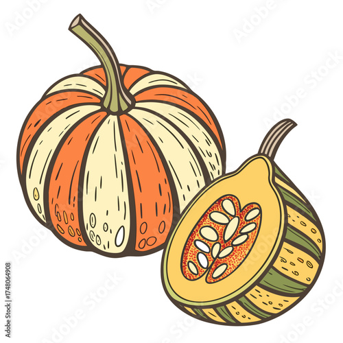 opo squash on white background 