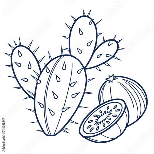 nopal fruit line art on white background