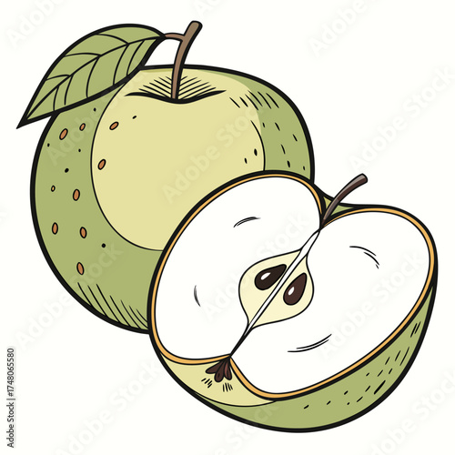 northern spy apple with leaf