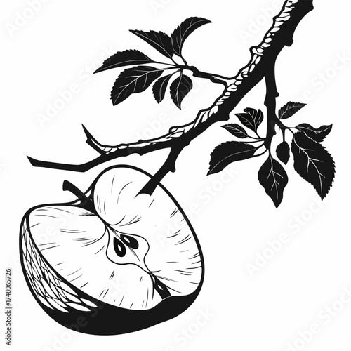 newton pippin apple with leaves