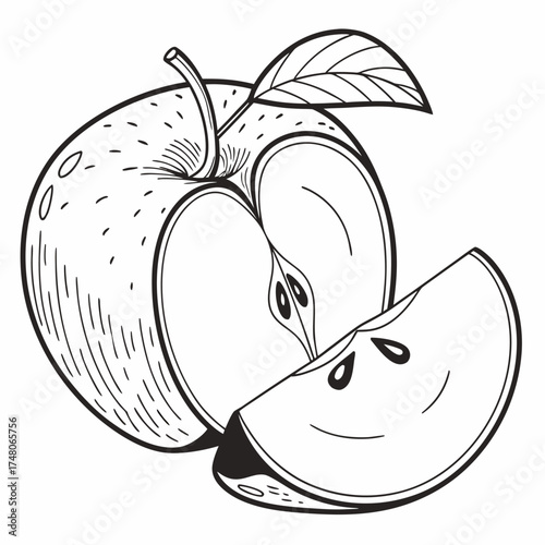 newton pippin apple on white background 