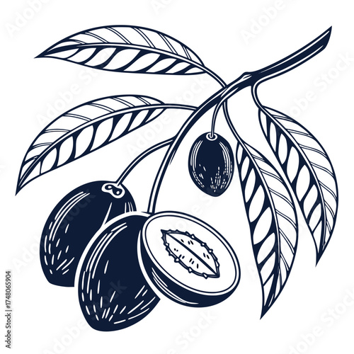  nepali hog plum with leaves