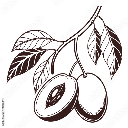 nepali hog plum with leaves