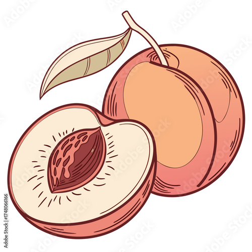 nectarine with leaf