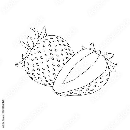 strawberry fruit with line art vector