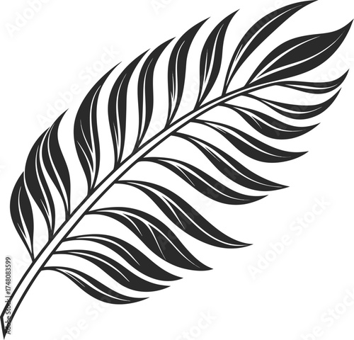 feather vector illustration