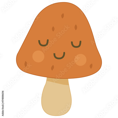  White mushroom, boletus.