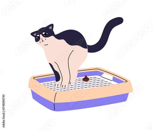 Cute cat trying to poop in sand box. Amusing kitten sits in litter tray, pushing. Funny kitty straining in pet toilet. Domectic animal behavior. Flat isolated vector illustration on white background.