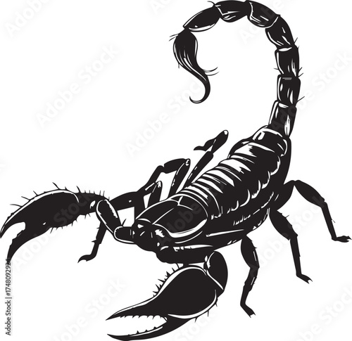 Dangerous Scorpion Art