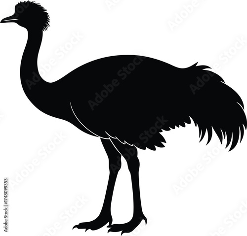 Black silhouette of emu bird standing tall