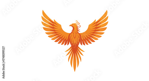 Orange phoenix illustration with wings spread wide against white background