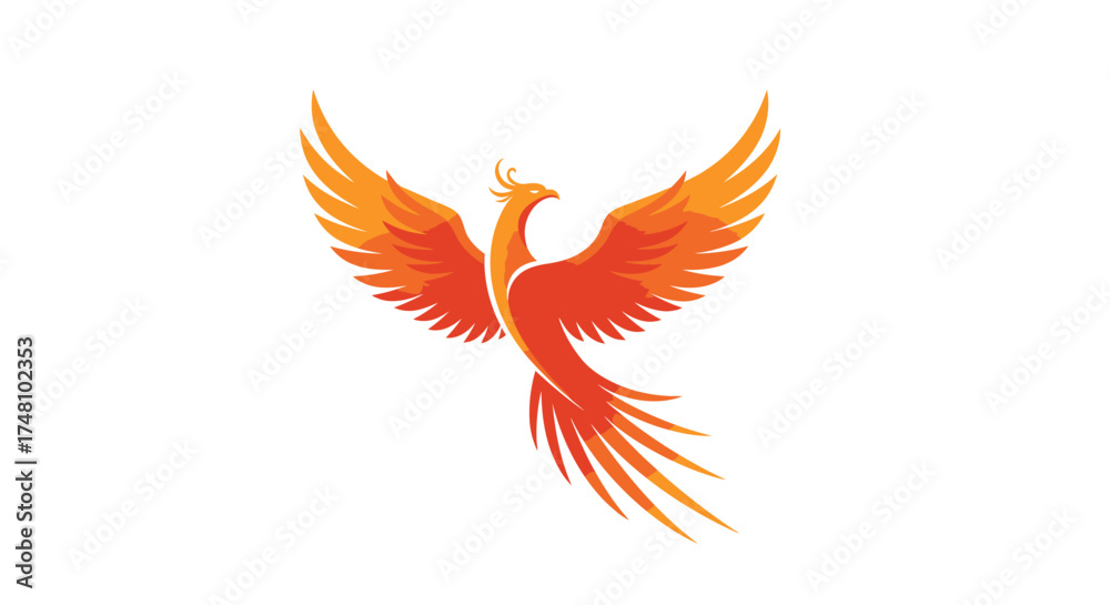 Fototapeta premium Stylized phoenix illustration soaring against white background for designs