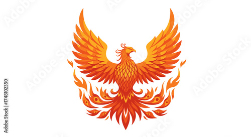 Stylized phoenix illustration with fiery wings spreading against a white backdrop