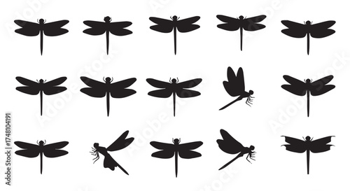 Silhouettes of dragonflies in various poses and directions, isolated on transparent background