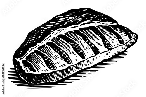 Duck vector engraving style illustration