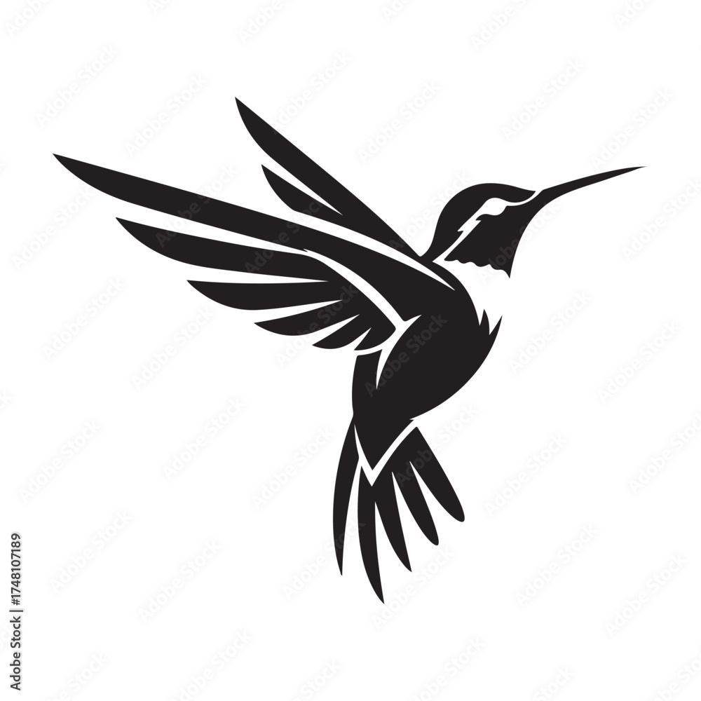 Fototapeta premium Silhouette of a hummingbird spreads its wings in flight against a transparent background