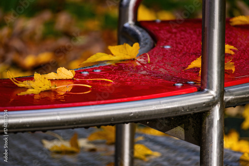 Fall trees landscape in vibrant colors