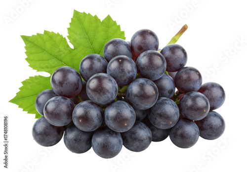 Isolated Concord grapes bunch with leaves, fresh fruit, organic and healthy dessert food