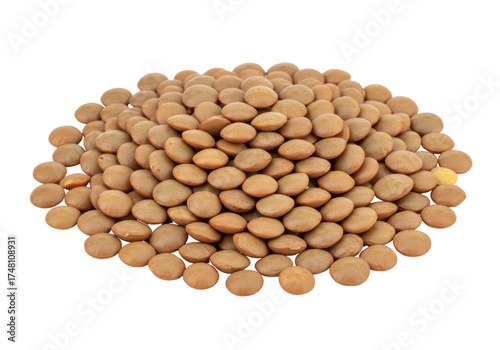 Schilderij op canvas Isolated mound of brown lentils, a nutritious legume for vegetarian and healthy