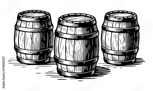 Three oak barrels for alcoholic beverages. Vector engraving style illustration