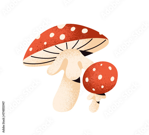 Icon of poisonous fly agaric. Venomous inedible mushroom with spotted red cap. Colored toadstool, amanita. Toxic boletus, dangerous fungus. Flat isolated vector illustration on white background.