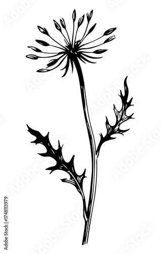 Weed tree vector engraving style illustration