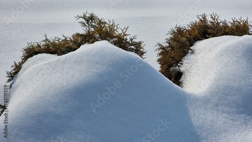 winter landscape with snow covered trees
