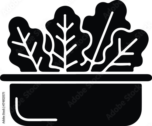 Fresh and healthy salad in a bowl for a nutritious meal