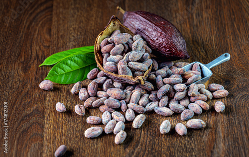 Cocoa beans, organic cacao bean or dried cocoa beans and cacao pod on brown background