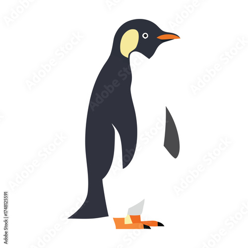 Minimalist vector illustration of an emperor penguin. A modern flat design graphic icon of the cute flightless seabird from Antarctica isolated on white