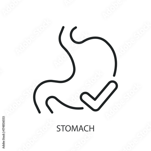 Stomach thin line vector icons.
