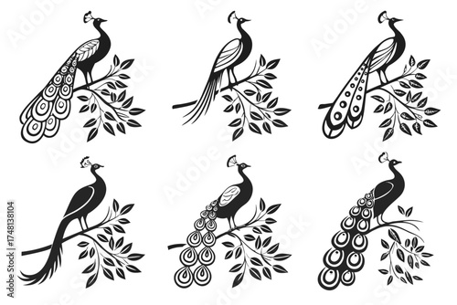 Minimalist watercolor peacock icon set