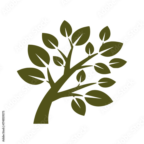 Vector illustration set of natural olive tree branches with green leaves and olives for organic food and eco design logos