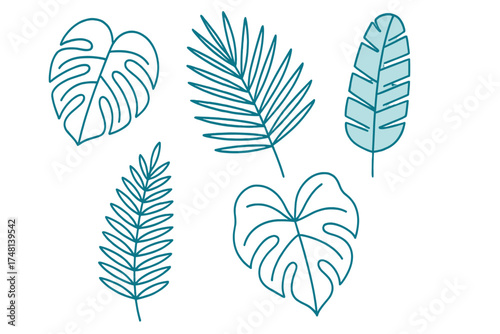 Outline icons of various tropical plant leaves in teal color