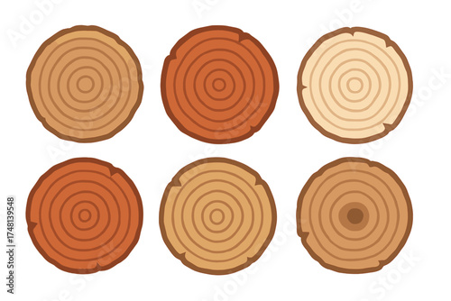 Collection of six round wooden log cross sections showing natural annual growth rings