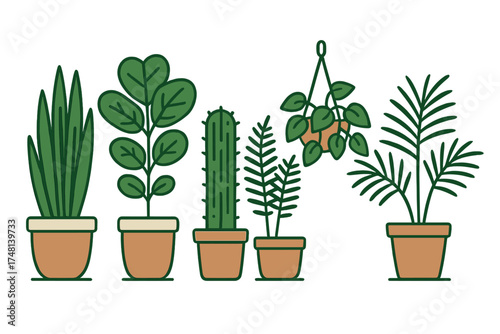 Set of popular indoor houseplants including snake plant, cactus, fern, and hanging ivy in terracotta pots