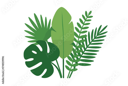 Various green tropical jungle leaves and exotic foliage isolated on white background