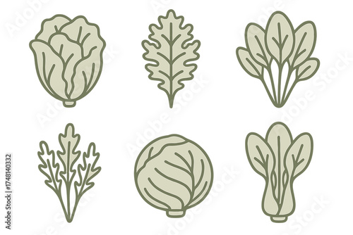 Minimalist set of six icons depicting various fresh leafy green vegetables like cabbage, kale, and spinach