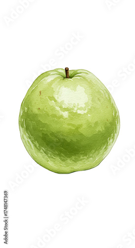 Realistic Green Guava Fruit Isolated Transparent Background