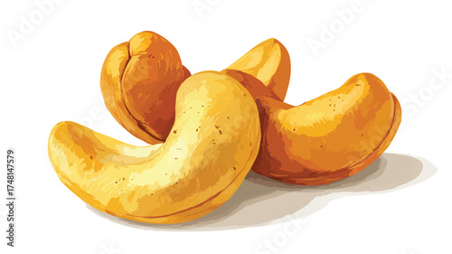 Closeup of Three Delicious Roasted Cashew Nuts Illustration