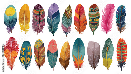 Vibrant Bird Feathers Assortment Multicolored Plumage Design Elements Nature Illustration