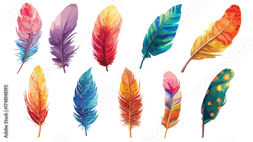 Vibrant Collection of Bird Feathers - Nature's Colorful Design Elements
