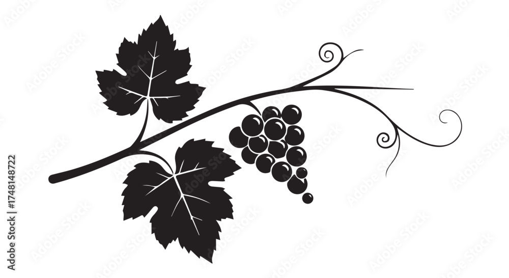 Naklejka premium Black silhouette of a grape vine with leaves and a bunch of grapes isolated on transparent background